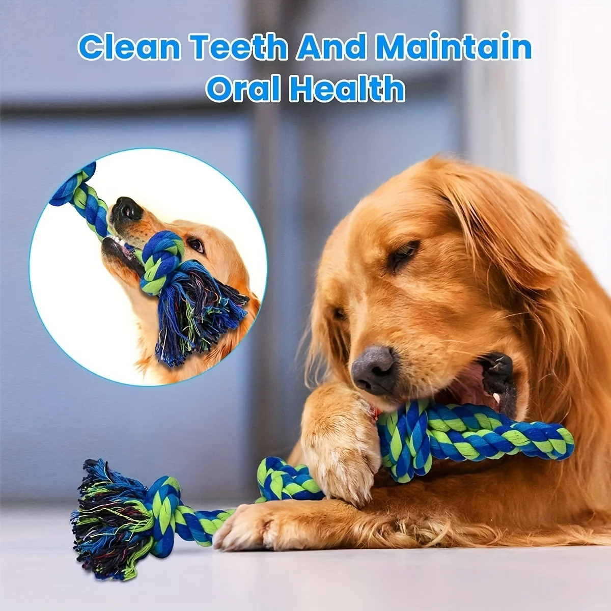 Jouet solide pour chiens, stimule jeu, mastication et interactions, parfait pour chiens énergiques – Image 3