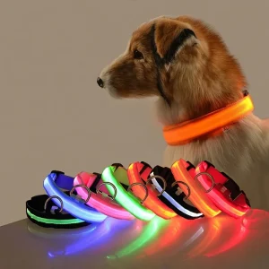 Collier LED lumineux pour chien, pour des promenades nocturnes sûres, visibles et sereines